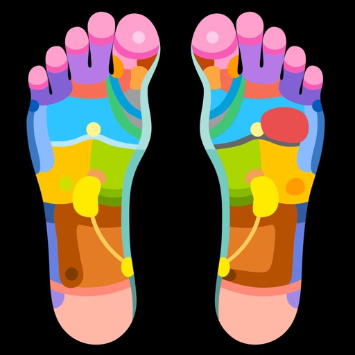 Reflexology Charts icon