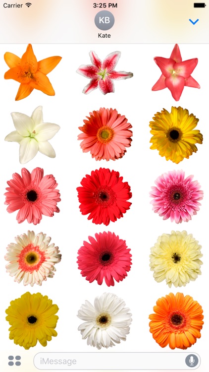 Flower Stickerz
