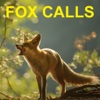 Predator Calls for Hunting Fox
