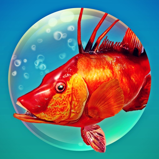 Let's Catch Fish: Spearfishing - 3D diving fishing by Tiny Dragon Adventure  Games Sp. z o. o.