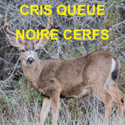Criss Et Sons De Cerfs à Queue Noire Pour Chasse icon