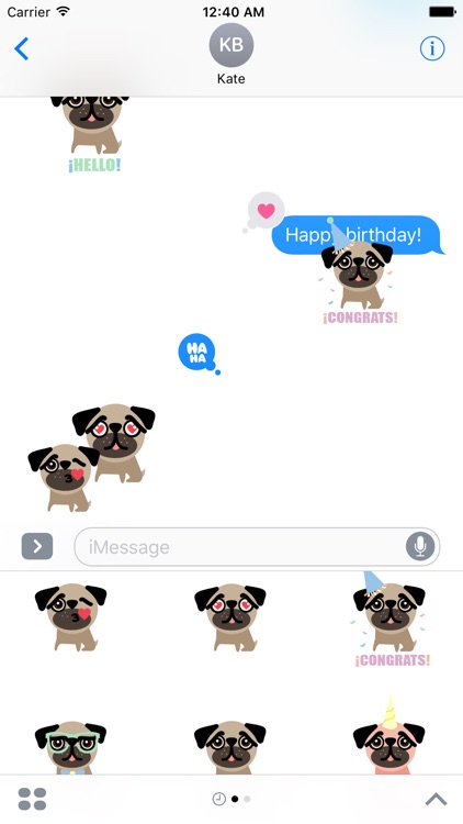 BUBU Pug