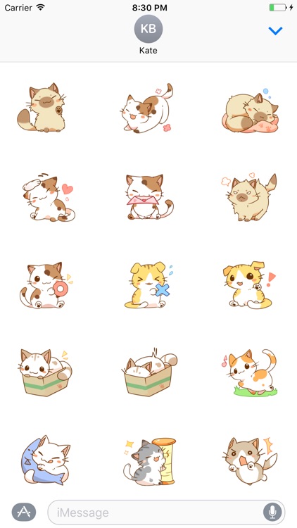 Lovely Cat Sticker