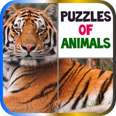 Activities of Puzzles of Animals Free