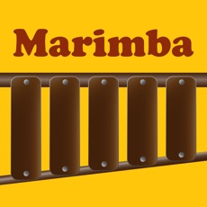Activities of Marimba & Simon Says