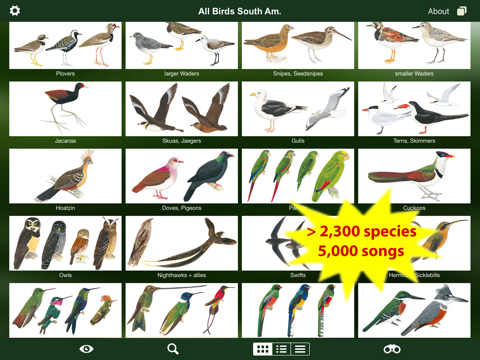 All Birds North. South America screenshot 2