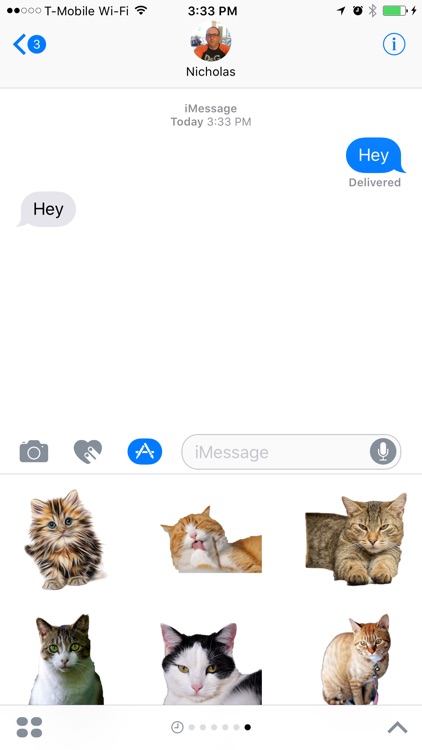 Funny Cat Stickers