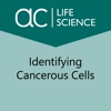 Identifying Cancerous Cells