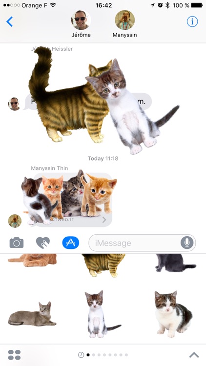 Cat Stickers