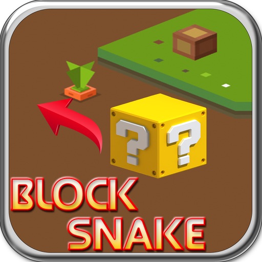 Block Snake Puzzle Game Icon