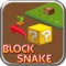 Block Snake Puzzle Game