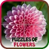 Puzzles of Flowers