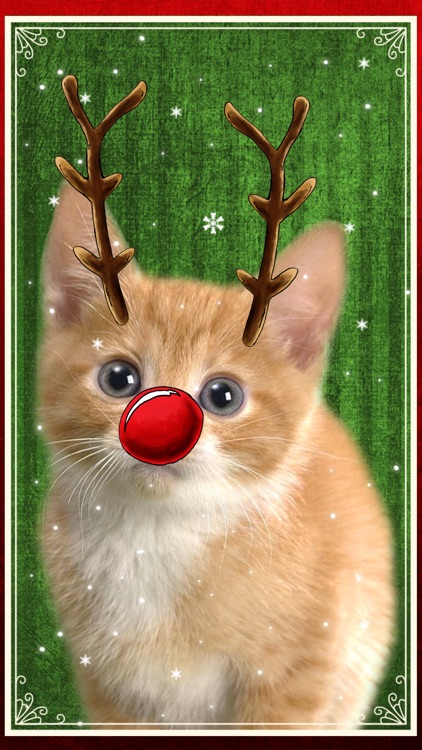 Christmas Booth: Festive Photo Fun + Xmas Stickers