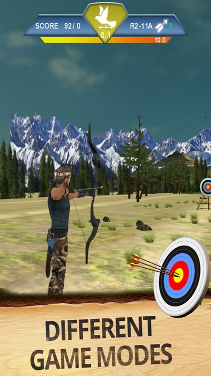 Archer Plus World - Arrow Shooting