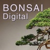 Bonsai Digital