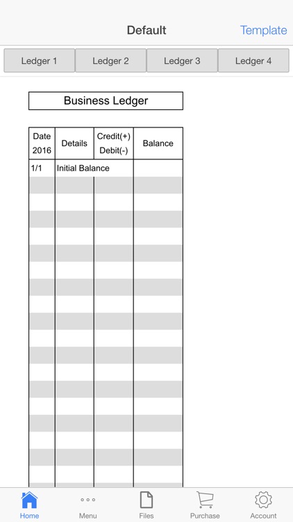 Account Ledger