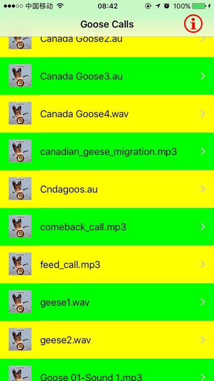 Real Goose Hunting Calls & Sounds