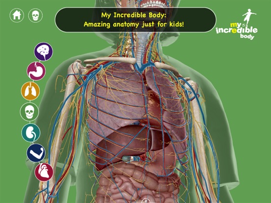 My Incredible Body - A Kid's App to Learn about the Human Bodyのおすすめ画像2