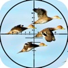 Jungle Hunting Adventure : A Real Birds Shooting