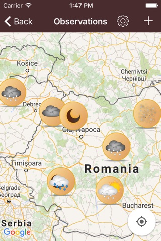 Weatherbirds - the weather forecast owls screenshot 4