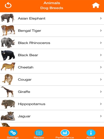 Wild Animals Quiz screenshot 2