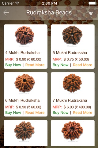 Rudraksham screenshot 3