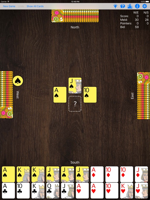 offline pinochle games