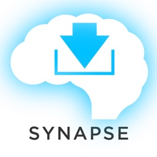 Activities of Flags Synapse