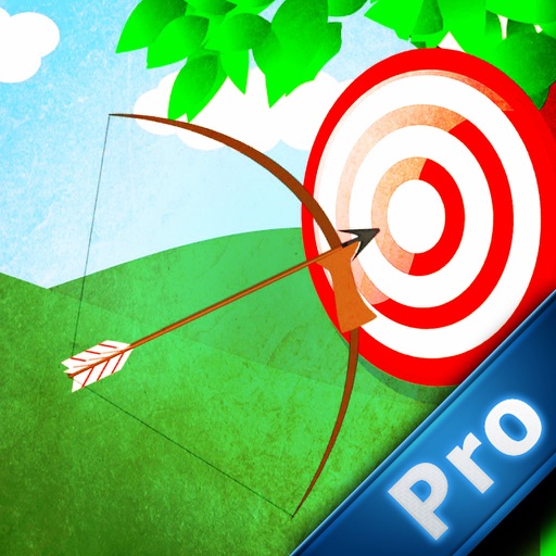 Arrow Master Pro : This is the Target Today! icon