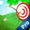 Arrow Master Pro : This is the Target Today!