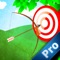 The most addictive Bow Shooting Archery Game with outstanding graphics and improved physics gameplay