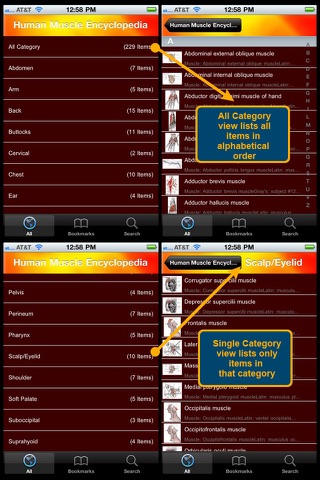 Human Muscle Encyclopedia Plus+ screenshot 2