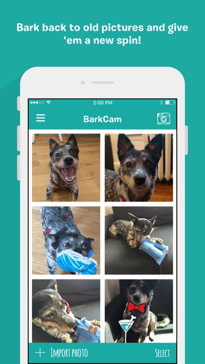 BarkCam