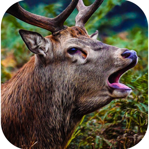 Ultimate Deer Hunter African Safari Hunting Pro icon