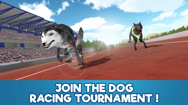 Dog Racing Tournament Sim 3D Full(圖1)-速報App