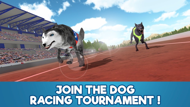 Dog Racing Tournament Sim 3D Full