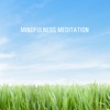Mindfulness Meditation - Ro og centrering