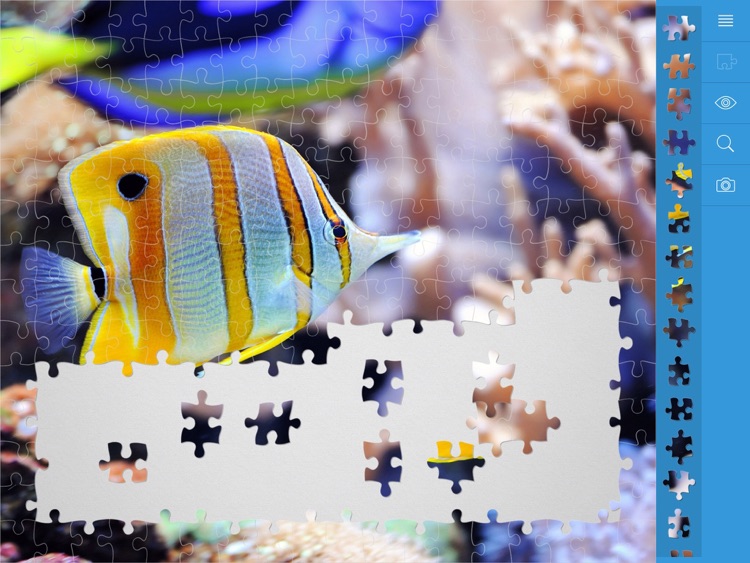 Jigsaw Puzzles Underwater