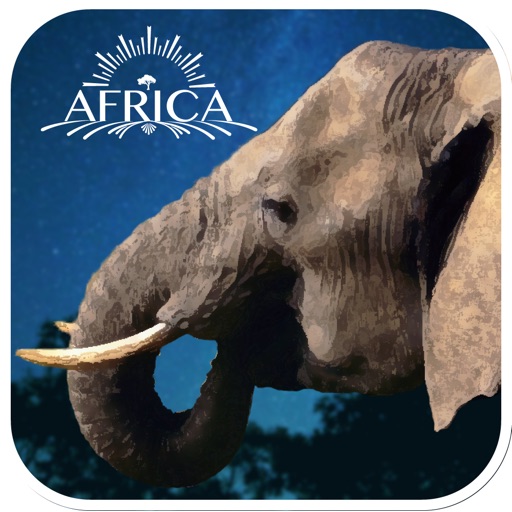 Real Elephant Simulator Game 3D iOS App