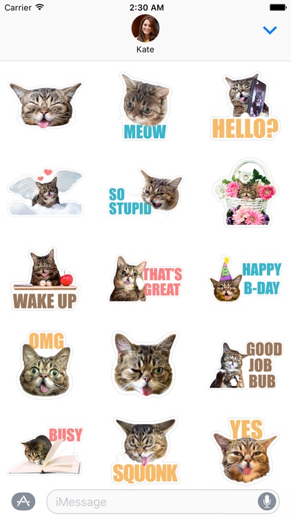 Felis Catus Kitty Sticker