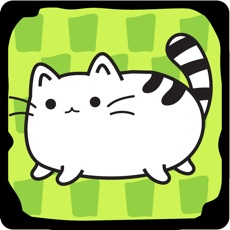 Activities of Cat Evolution - Clicker Game