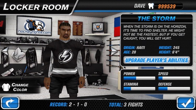 Hockey Fight Lite screenshot-3