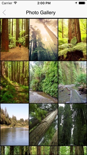 Redwood Park(圖3)-速報App