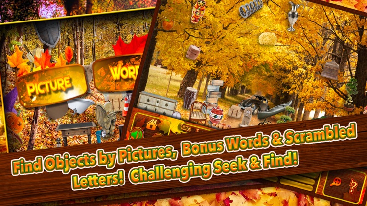 Hidden Objects Thanksgiving Fall Harvest Puzzle screenshot-3