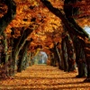 Best Autumn Wallpapers HD