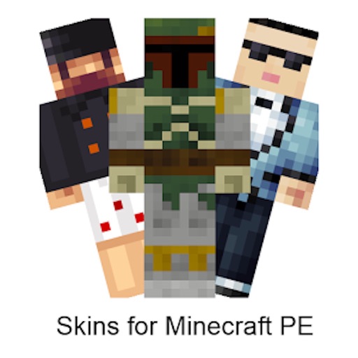 Mineskins Pro - Best SKINS for minecraft pe