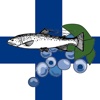 Finnish Food Recipes