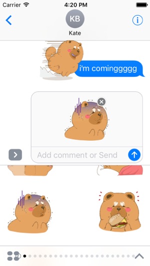 Chowchow dog Sticker(圖1)-速報App