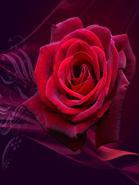 Love Photo Frames Love Wallpaper Photos Background screenshot-4