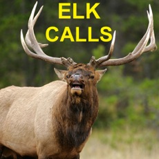 Activities of Elk Calls & Elk Bugle for Elk Hunting